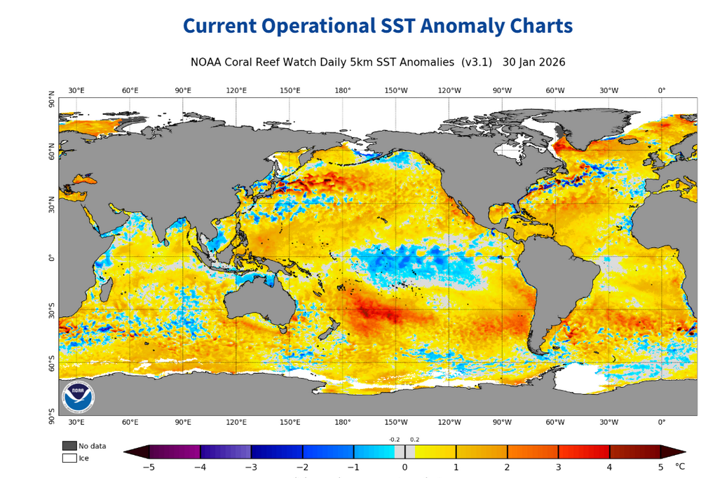 Current-Operational-SST-Anomaly-Charts-OSPO-01-31-2026_05_04_PM.png