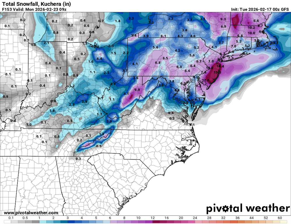 snku_acc-imp.us_ma (95).png