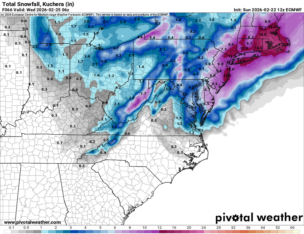 snku_acc-imp.us_ma - 2026-02-22T124425.830.png