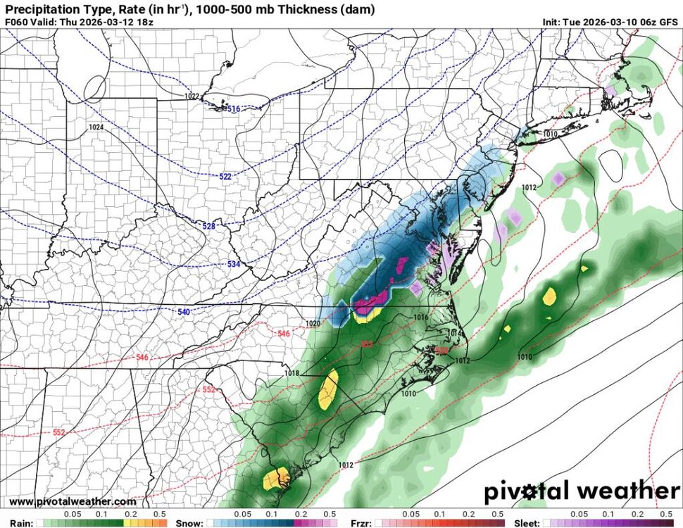 prateptype_cat-imp.us_ma (2).jpg