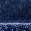 Rainman